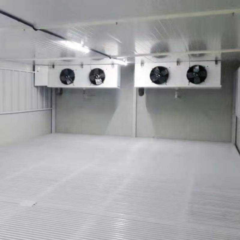 Walk In Refrigerator Cold Stor - Food Storage Technology recension och pris