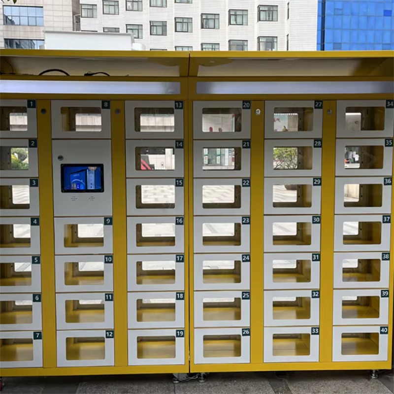 Custom Double Sided Locker Ele - Food Storage Locker recension och pris