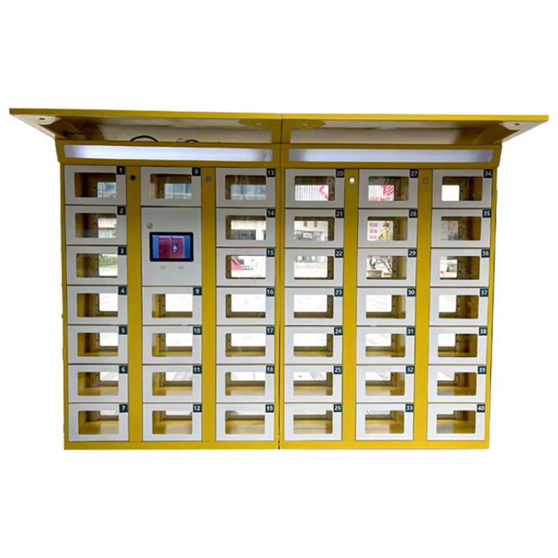 Custom Double Sided Locker Ele - Food Storage Locker recension och pris